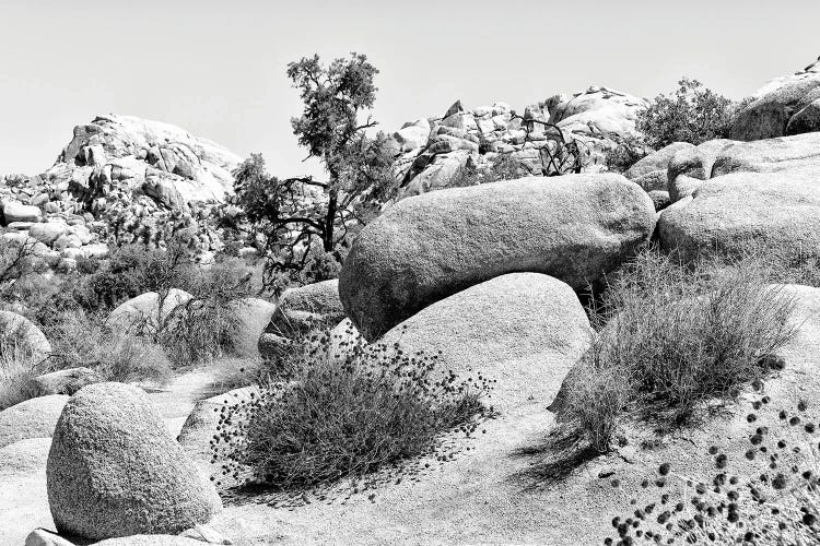 Between The Rocks