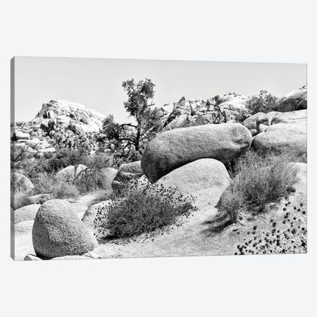 Black Nevada Series - Between The Rocks Canvas Print #PHD1931} by Philippe Hugonnard Canvas Print