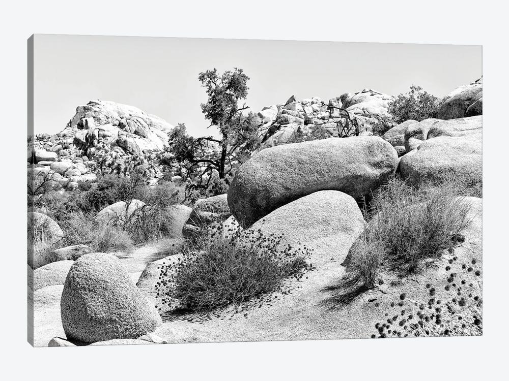 Black Nevada Series - Between The Rocks by Philippe Hugonnard 1-piece Canvas Artwork
