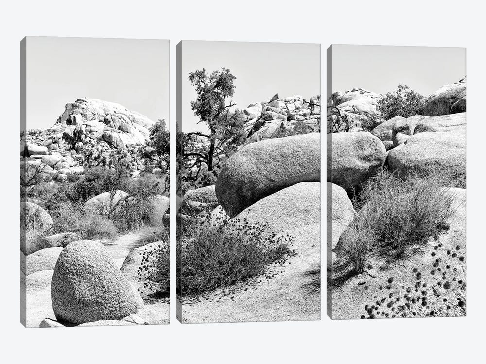 Black Nevada Series - Between The Rocks by Philippe Hugonnard 3-piece Canvas Art