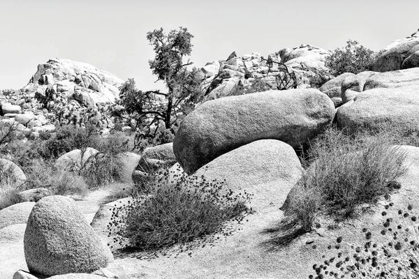 Nevada: Between The Rocks by Philippe Hugonnard