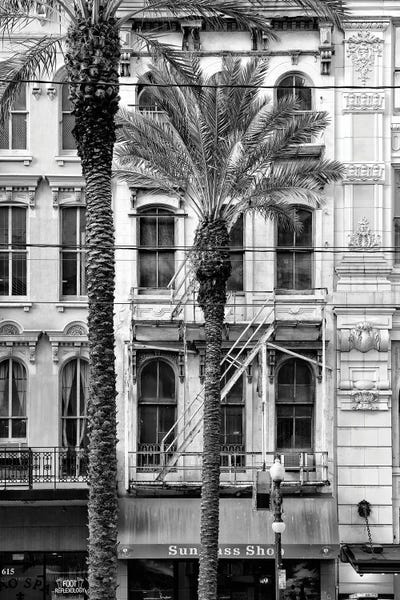 New Orleans: Black NOLA Series - Palm Tree Facade by Philippe Hugonnard