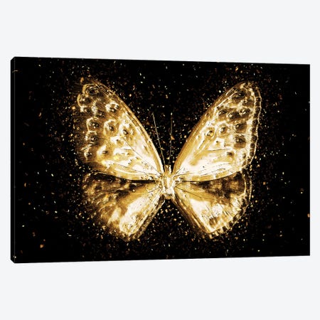 Golden - Butterfly I Canvas Print #PHD2005} by Philippe Hugonnard Canvas Art