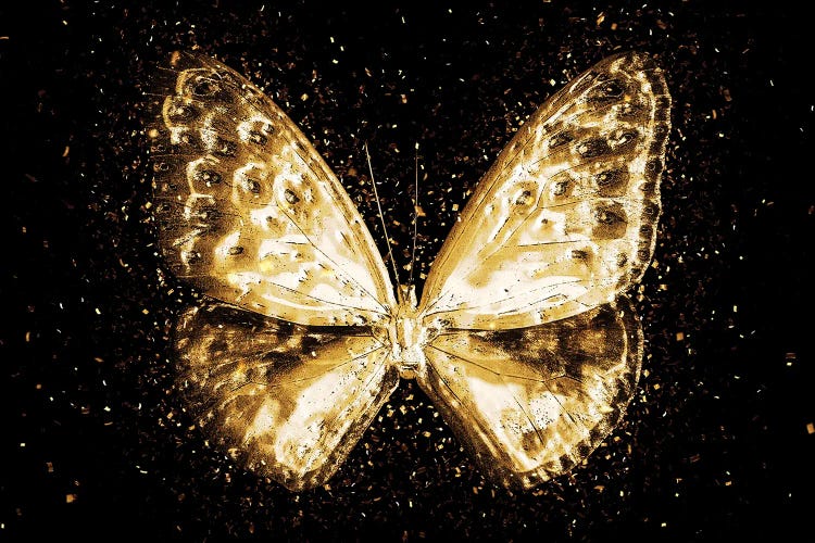 Golden - Butterfly I