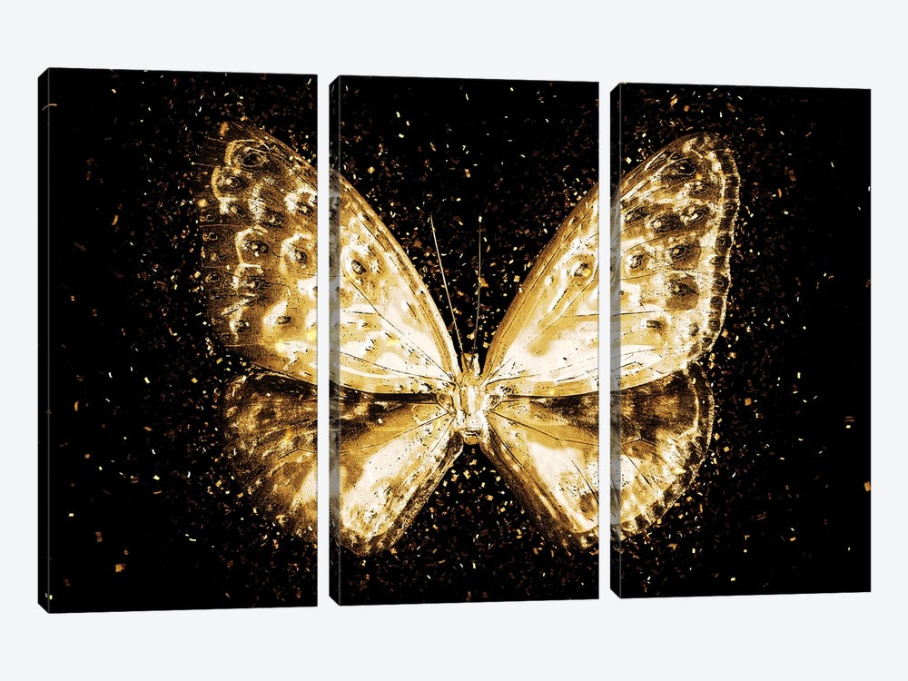 Golden - Butterfly I by Philippe Hugonnard 3-piece Art Print