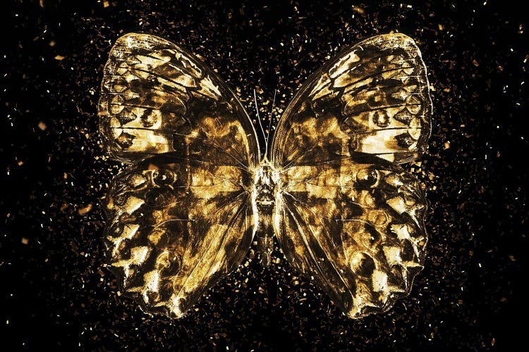 Golden - Butterfly II