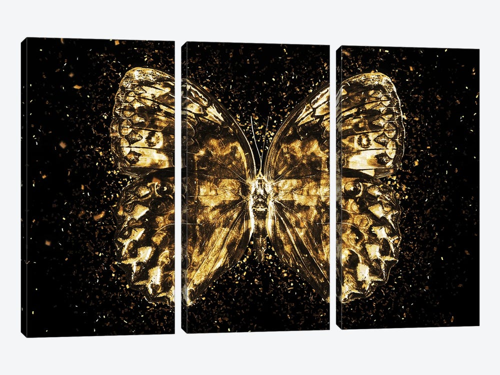 Golden - Butterfly II by Philippe Hugonnard 3-piece Canvas Art