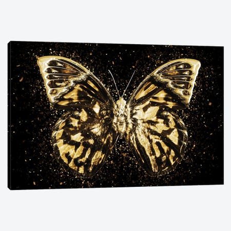 Golden - Butterfly III Canvas Print #PHD2007} by Philippe Hugonnard Canvas Artwork