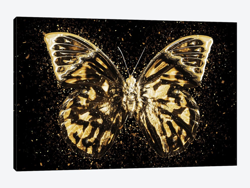 Golden - Butterfly III by Philippe Hugonnard 1-piece Canvas Art Print