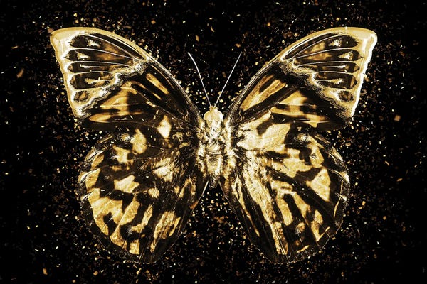Golden - Butterfly III