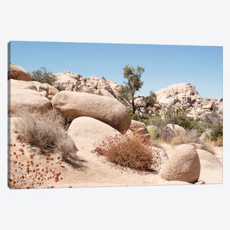 American West - Boulders Rock Canvas Print #PHD2036} by Philippe Hugonnard Canvas Print