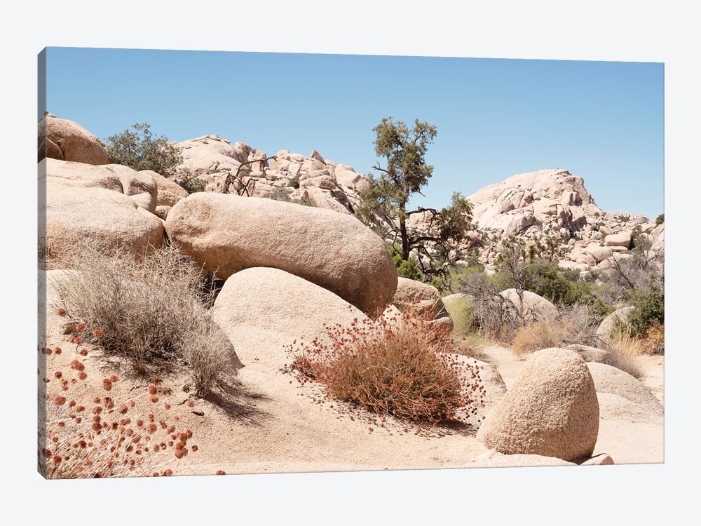 American West - Boulders Rock by Philippe Hugonnard 1-piece Canvas Print