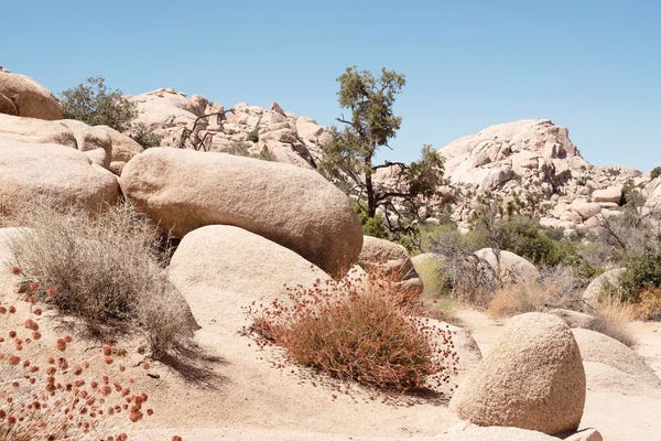 American West - Boulders Rock