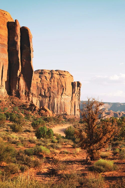 American West - Monument Valley Path