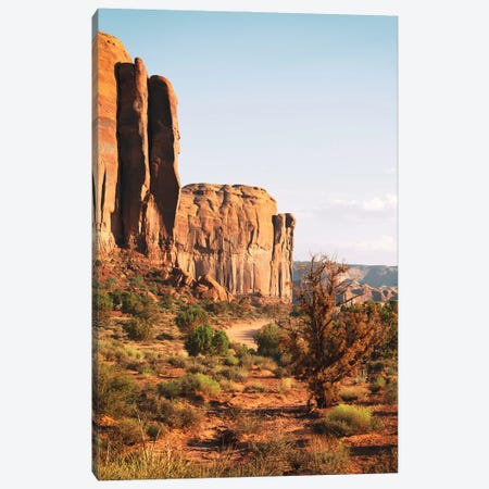American West - Monument Valley Path Canvas Print #PHD2051} by Philippe Hugonnard Canvas Art