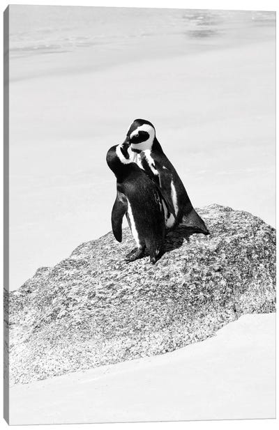 Penguin Lovers Canvas Art Print - African Safari