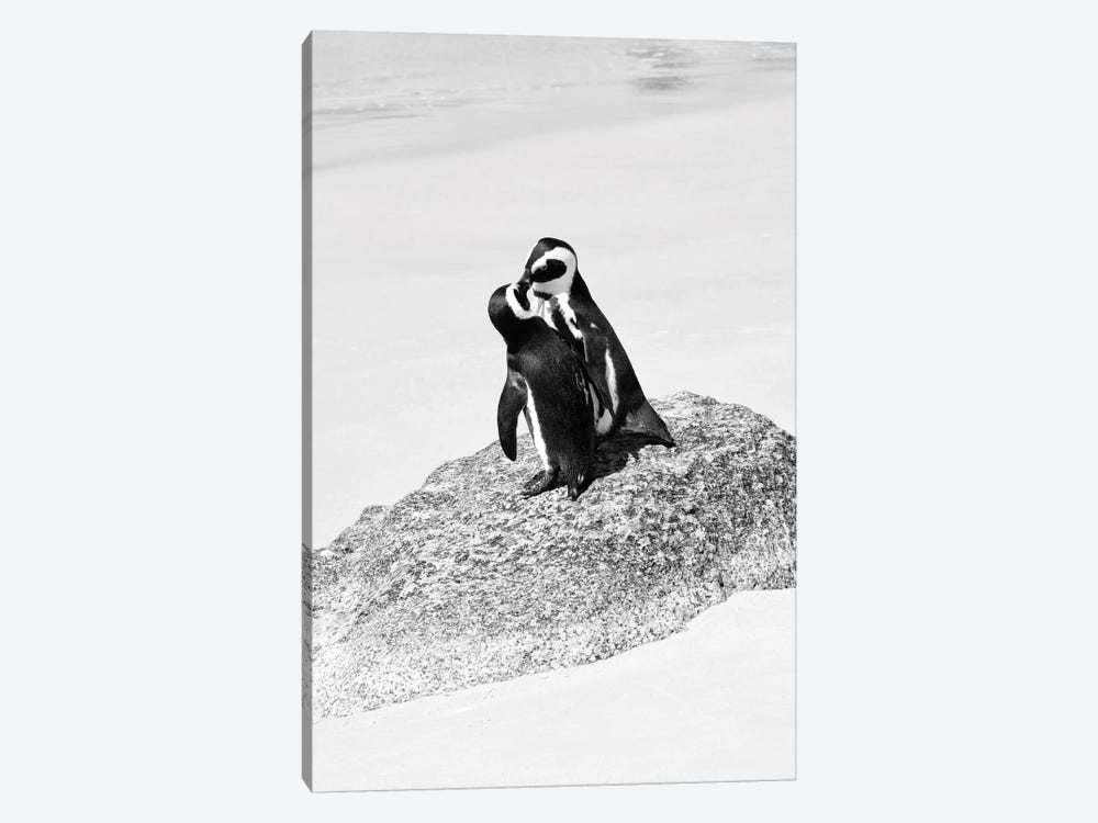 Penguin Lovers by Philippe Hugonnard 1-piece Canvas Art