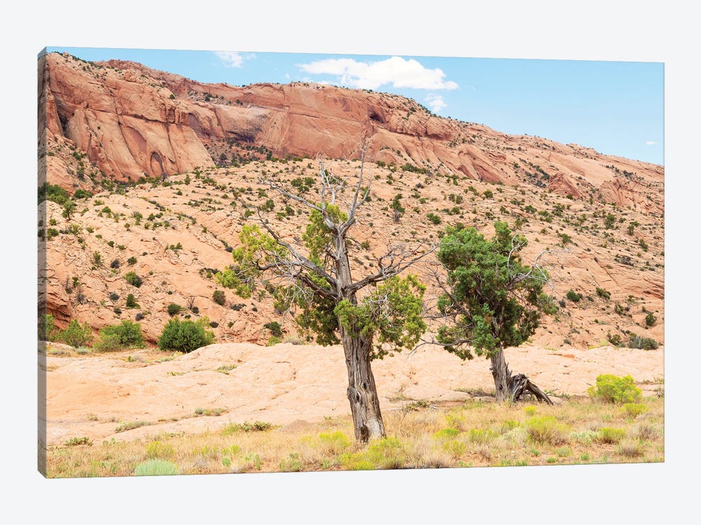 American West - Desert Trees by Philippe Hugonnard 1-piece Art Print