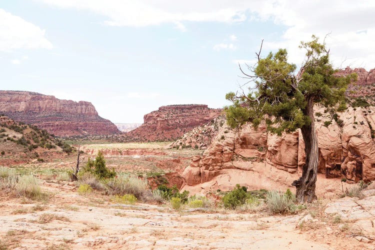 American West - Arizona Canyon