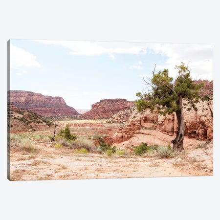 American West - Arizona Canyon Canvas Print #PHD2073} by Philippe Hugonnard Canvas Art