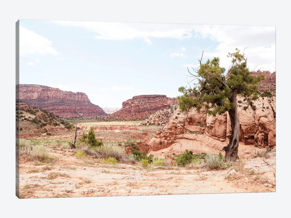American West - Arizona Canyon by Philippe Hugonnard 1-piece Canvas Wall Art