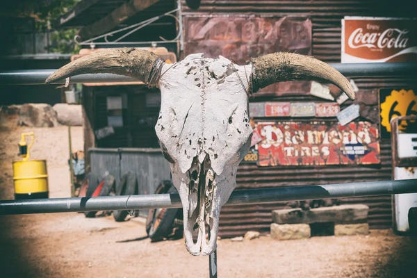 Route 66: American West - Cow Skulls 66 by Philippe Hugonnard
