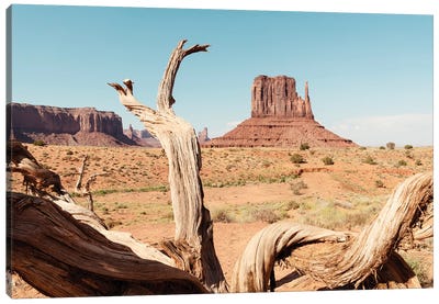 American West - Monument Valley V Canvas Art Print - Valley Art