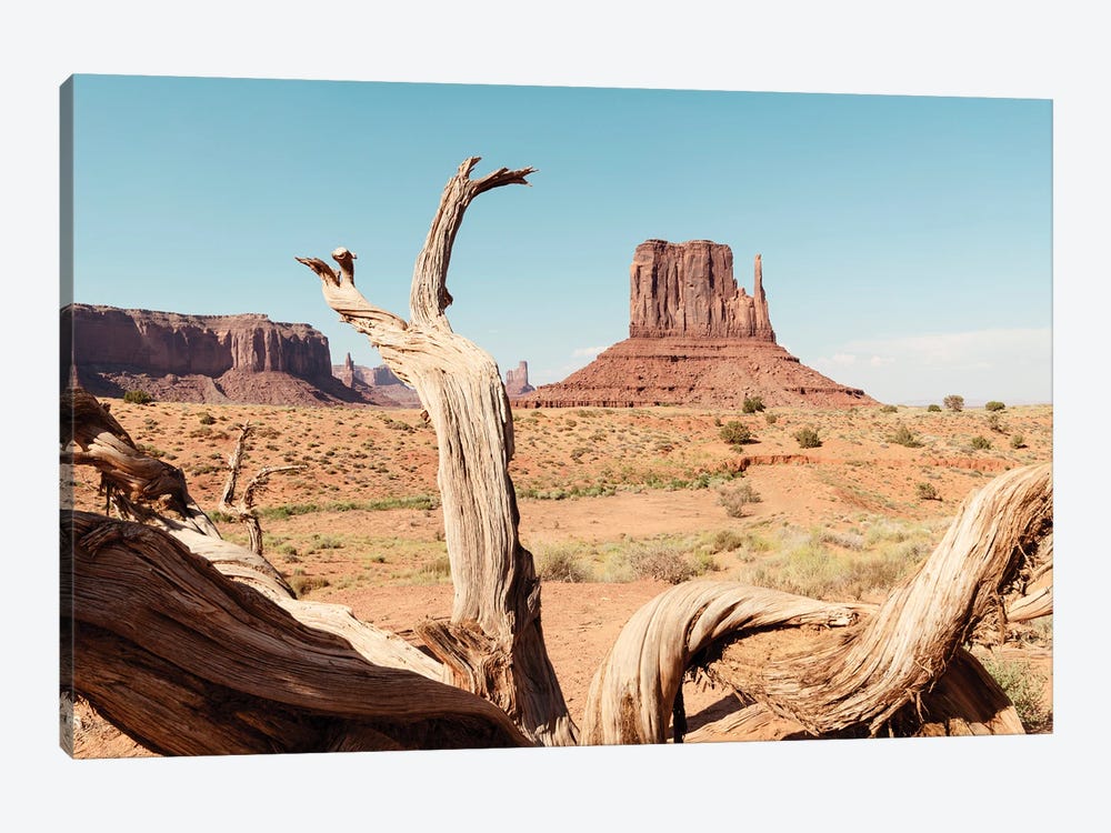 American West - Monument Valley V by Philippe Hugonnard 1-piece Art Print