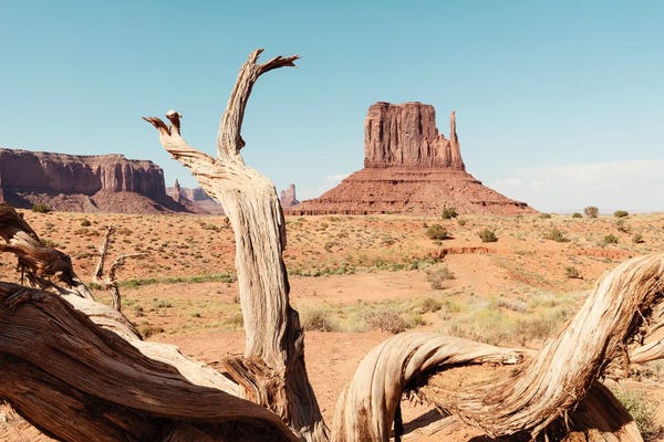 Valleys: Monument Valley V - American West by Philippe Hugonnard