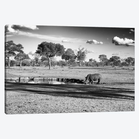 Savannah View with one Black Rhino Canvas Print #PHD211} by Philippe Hugonnard Canvas Print