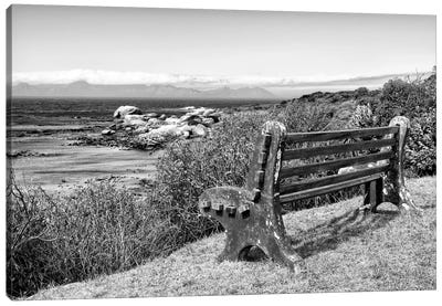 View Point Bench Canvas Art Print