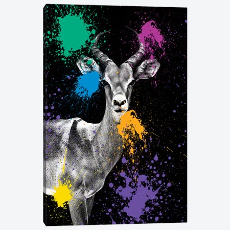 Antelope Impala Canvas Print #PHD217} by Philippe Hugonnard Canvas Art