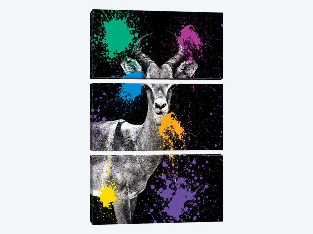 Antelope Impala by Philippe Hugonnard 3-piece Canvas Art Print