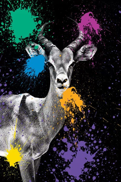 Antlers: Antelope Impala by Philippe Hugonnard