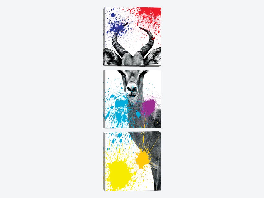 Antelope Impala II by Philippe Hugonnard 3-piece Canvas Wall Art