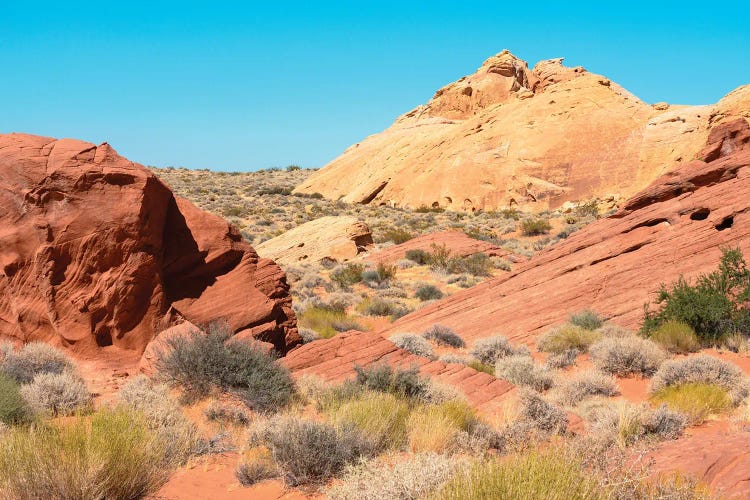 American West - Fire Valley Nevada