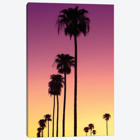 American West - Sunset Palm Trees Canvas Print #PHD2215} by Philippe Hugonnard Canvas Art Print