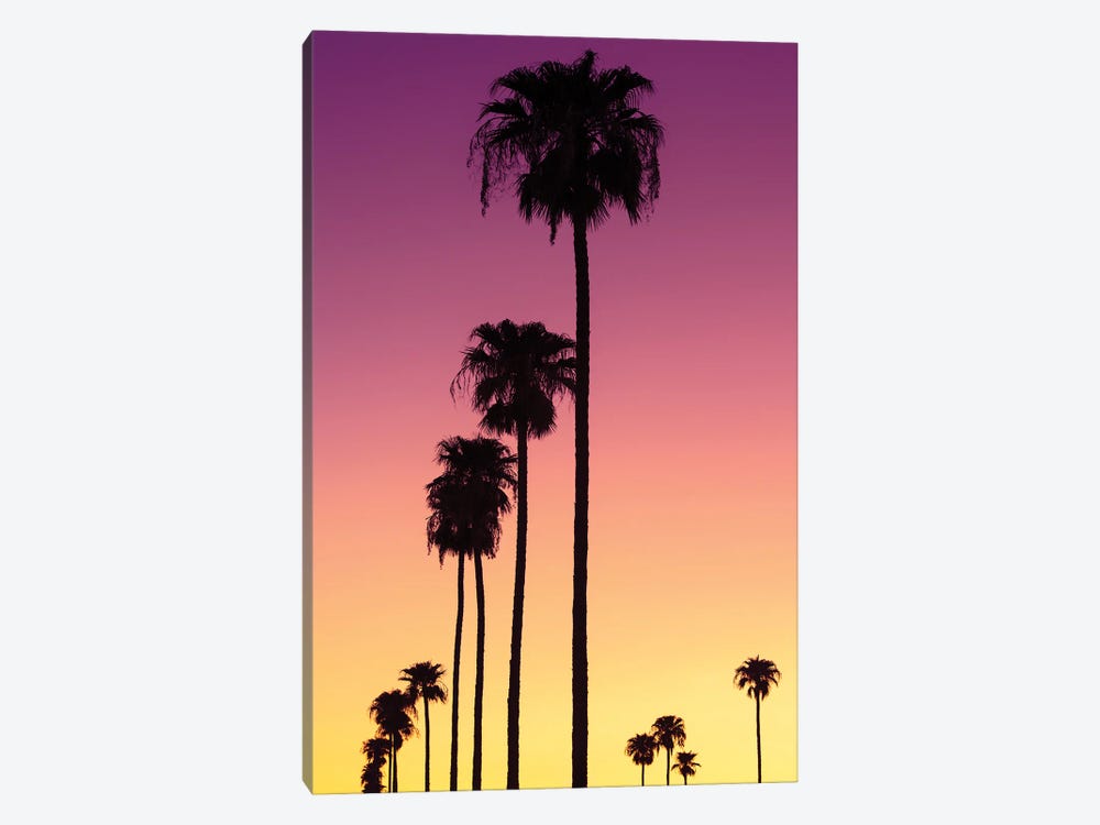 American West - Sunset Palm Trees by Philippe Hugonnard 1-piece Canvas Print