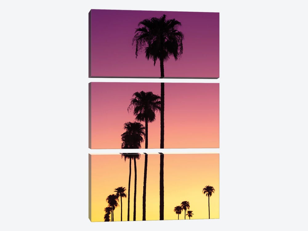 American West - Sunset Palm Trees by Philippe Hugonnard 3-piece Art Print