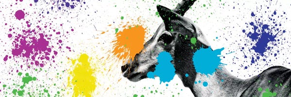 Antelopes: Antelope Portrait V by Philippe Hugonnard