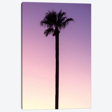 American West - Palm Pink Canvas Print #PHD2221} by Philippe Hugonnard Art Print