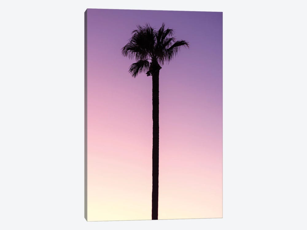 American West - Palm Pink by Philippe Hugonnard 1-piece Canvas Wall Art