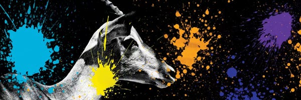 Antelopes: Antelope Portrait VI by Philippe Hugonnard