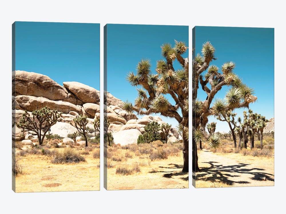 American West - Joshua Tree National Park by Philippe Hugonnard 3-piece Canvas Artwork