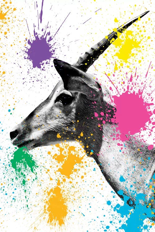 Antelope Profile by Philippe Hugonnard wall art