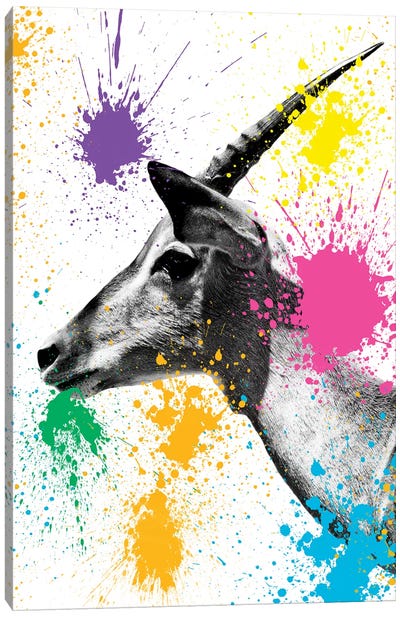 Antelope Profile Canvas Art Print - Antelope Art