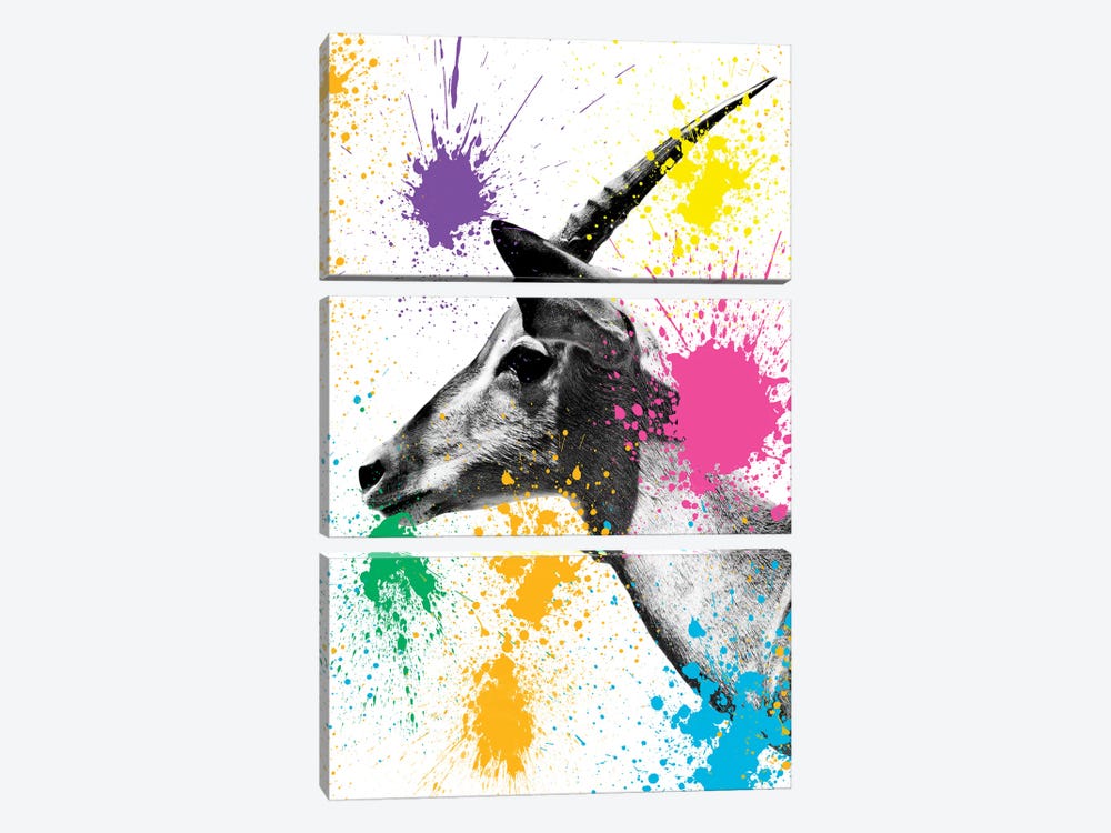 Antelope Profile by Philippe Hugonnard 3-piece Canvas Art