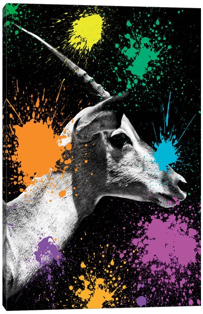 Antelope Profile II Canvas Art Print - Antler Art