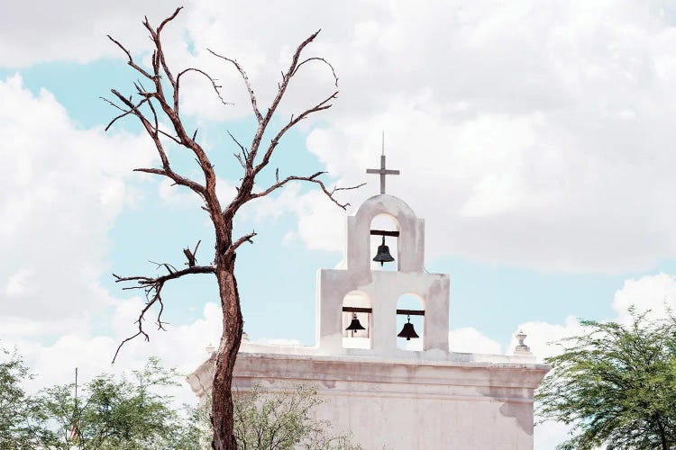 American West - Death Tree by Philippe Hugonnard wall art