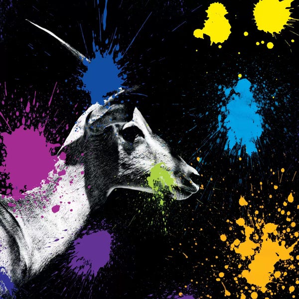 Color Pop Photography: Antelope Profile III by Philippe Hugonnard